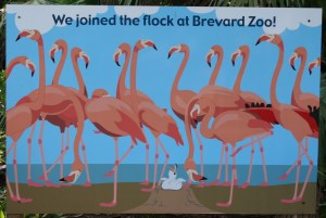 Brevard Zoo