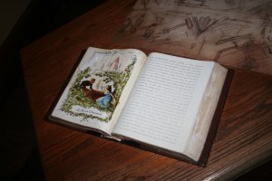 French Book prop