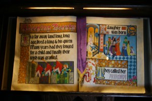 Sleeping Beauty Book