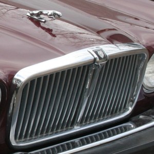 Jaguar Grill