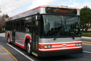 Disney Last Days 181