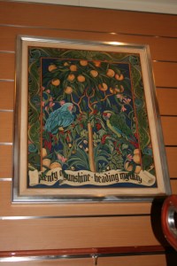 Disney Cruise Vacation 026