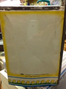 iPhone Disney Cruise Pictures 033