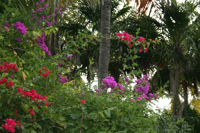 Disney Cruise Vacation 118