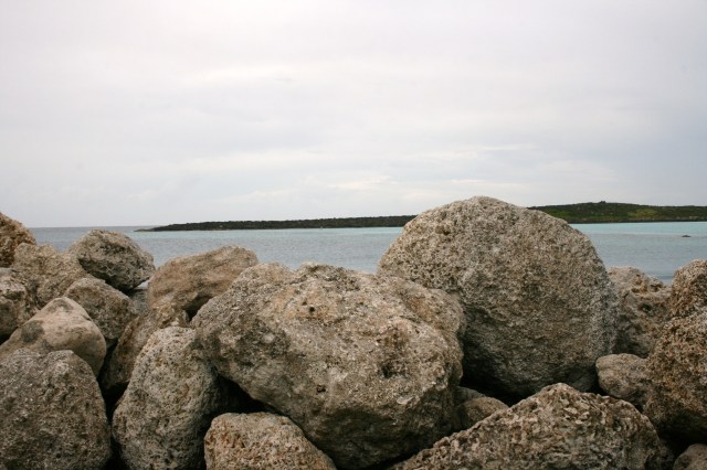 Disney Cruise Vacation 142