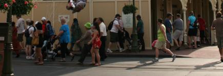 Disney Crowds