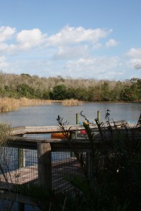 Brevard Zoo Lake