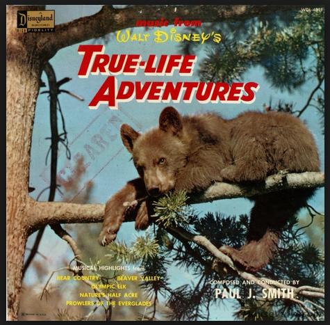 Ture Life Adventures