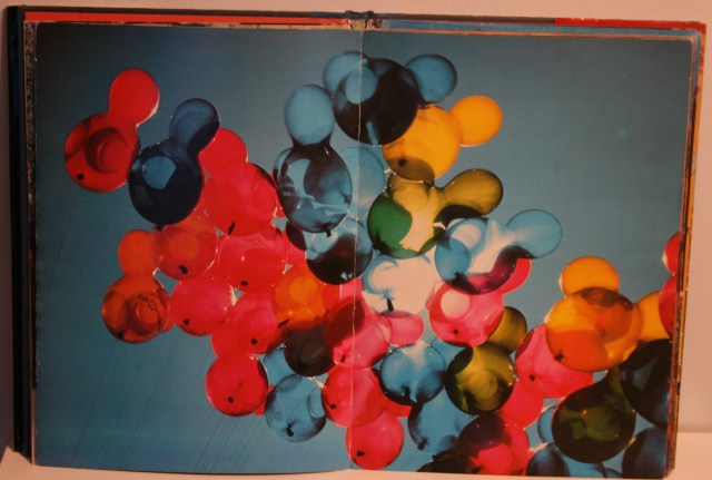 Magic of Parks Book 010