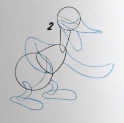Drawing Early Donald Body 2