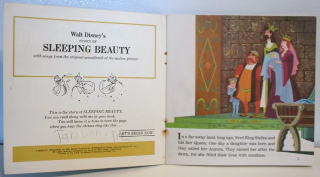 Sleeping Beauty Reading Book 3