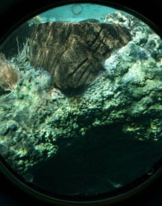 Porthole 5