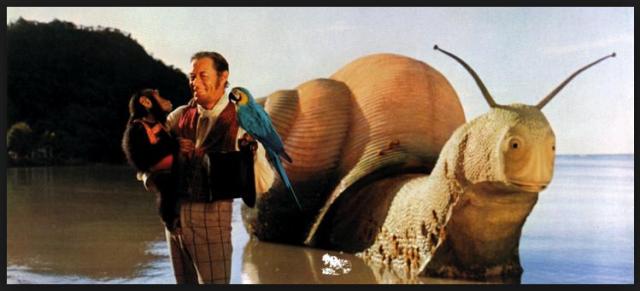 great-pink-sea-snail